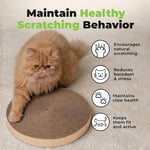 Best Pet Supplies Aktif Oyun için Scratch and Spin Kedi Scratcher Yedek Pedleri, Doğal Geri Dönüştürülmüş Oluklu Mukavva, Davranışları Destekler, Stresi Azaltır - 5 Adet