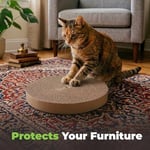 Best Pet Supplies Aktif Oyun için Scratch and Spin Kedi Scratcher Yedek Pedleri, Doğal Geri Dönüştürülmüş Oluklu Mukavva, Davranışları Destekler, Stresi Azaltır - 5 Adet