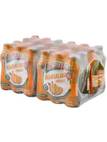 Beypazarı Mandalinalı Maden Suyu (24x200ml)