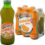 Beypazarı Mandalinalı Maden Suyu (6x200ml)
