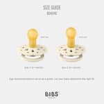 Bibs Boheme İkili Kauçuk Emzik-Vanilla/Peach 6-18 Ay