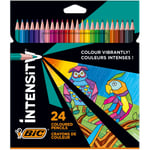 BIC Color Up Üçgen Kuru Boya Kalemi, 24'lü Kutu