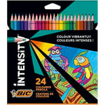 BIC Color Up Üçgen Kuru Boya Kalemi, 24'lü Kutu