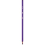 BIC Kids Evolution Kuru Boya Kalemi, 12'li Kutu, Kıymık Oluşturmaz, Çiğnemeye Karşı Dayanıklı, Kolay Açılır