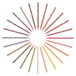 BIC Kids Evolution Stripes Kuru Boya Kalemi, 12'li Kutu