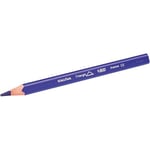BIC Kids Evolution Üçgen Jumbo Boya Kalemi 13'lü Metal Tüp, Üçgen Tasarım, Kıymık Oluşturmaz, Çiğnemeye Karşı Dayanıklı