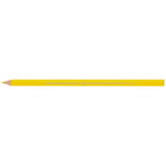 BIC Kids Evolution Üçgen Jumbo Boya Kalemi 13'lü Metal Tüp, Üçgen Tasarım, Kıymık Oluşturmaz, Çiğnemeye Karşı Dayanıklı