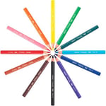 BIC Kids Evolution Üçgen Jumbo Boya Kalemi 13'lü Metal Tüp, Üçgen Tasarım, Kıymık Oluşturmaz, Çiğnemeye Karşı Dayanıklı