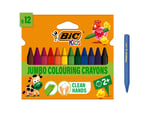 BIC Plastidecor Elleri Kirletmeyen Üçgen Pastel Boya, 12'Li Kutu, Elleri Boyamaz, 30 Aydan Büyük Çocuklar İçin İdeal