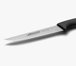 Bıçağı Arcos paslanmaz çelik 135200 Nizza Nitrum ve polipropilen-sap ile 11 cm yaprak blister