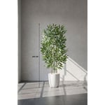 Biçiçek 110 Cm Bambu Ağacı Yakut Saksıda Bej