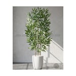 Biçiçek 110 Cm Bambu Ağacı Yakut Saksıda Bej