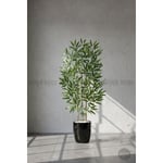 Biçiçek 110 Cm Bambu Ağacı Yakut Saksıda Siyah
