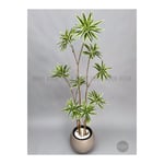 Biçiçek 160 Cm Dragon Bitkisi Yapay Dracaena Küre Saksıda Kahverengi1