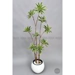 Biçiçek 160 Cm Dragon Bitkisi Yapay Dracaena Küre Saksıda Beyaz1
