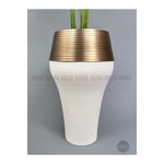 Biçiçek 220cm Starliçe Bitkisi Cleopatra Saksıda Krem Gold