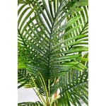 Biçiçek Areka Ağacı 220-240 Cm Grifiber1