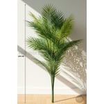 Biçiçek Areka Ağaci 24 Yaprakli 120-130 Cm Çok Renkli