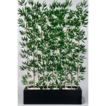 Biçiçek Bambu Separator 170 Cm 10 Dallı Yoğun Yapraklı Siyah