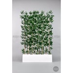 Biçiçek Bambu Separator 170 Cm 10 Dallı Yoğun Yapraklı Beyaz