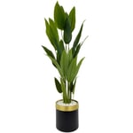 Biçiçek Starliçe 220cm Metal Siyah Gold Saksıda