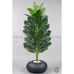 Biçiçek Yapay Areka Ağacı 160-180 Cm Grifi̇ber170cm