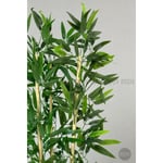Biçiçek Yapay Bambu Ağacı 100cm Lux Saksı Siyah-bronz