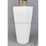 Biçiçek Yapay Bambu Ve Benjamin 6 Dallı Yoğun Yapraklı 220 Cm Beyazbenjami̇n