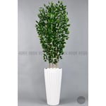 Biçiçek Yapay Bambu Ve Benjamin 6 Dallı Yoğun Yapraklı 220 Cm Beyazbenjami̇n