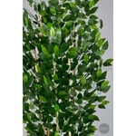 Biçiçek Yapay Bambu Ve Benjamin 6 Dallı Yoğun Yapraklı 220 Cm Beyazbenjami̇n