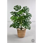 Biçiçek Yapay Monstera Deve Tabanı 65-70 Cm Hasir2