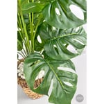Biçiçek Yapay Monstera Deve Tabanı 65-70 Cm Hasir1