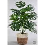 Biçiçek Yapay Monstera Deve Tabanı 65-70 Cm Hasir3