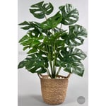 Biçiçek Yapay Monstera Deve Tabanı 65-70 Cm Hasir2