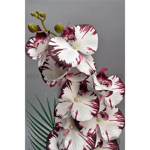 Biçiçek Yapay Phalaenopsis Orkide Buyuk Boy
