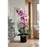 Biçiçek Yapay Phalaenopsis Orkide Buyuk Boy