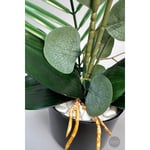 Biçiçek Yapay Phalaenopsis Orkide Buyuk Boy