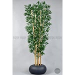 Biçiçek Zen Bambu Ağacı 220-240 Cm Fiber Saksıda Grifiber1