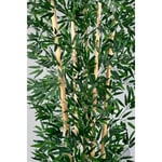Biçiçek Zen Bambu Ağacı 220-240 Cm Fiber Saksıda Siyahfiber2