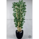 Biçiçek Zen Bambu Ağacı 220-240 Cm Fiber Saksıda Siyahfiber2