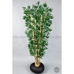 Biçiçek Zen Bambu Ağacı 220-240 Cm Fiber Saksıda Siyahfiber1