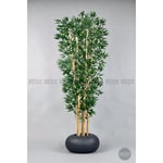 Biçiçek Zen Bambu Ağacı 220-240 Cm Fiber Saksıda Grifiber1