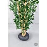 Biçiçek Zen Bambu Ağacı 220-240 Cm Fiber Saksıda Grifiber1