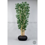 Biçiçek Zen Bambu Ağacı 220-240 Cm Fiber Saksıda Siyahfiber1