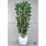 Biçiçek Zen Bambu Ağacı 220-240 Cm Fiber Saksıda Beyazfiber2