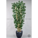 Biçiçek Zen Bambu Ağacı 220-240 Cm Fiber Saksıda Grifiber2