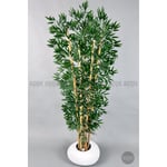Biçiçek Zen Bambu Ağacı 220-240 Cm Fiber Saksıda Beyazfiber1