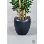 Biçiçek Zen Bambu Ağacı 220-240 Cm Fiber Saksıda Grifiber2