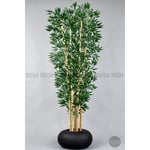 Biçiçek Zen Bambu Ağacı 220-240 Cm Fiber Saksıda Siyahfiber1