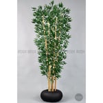 Biçiçek Zen Bambu Ağacı 220-240 Cm Fiber Saksıda Siyahfiber1